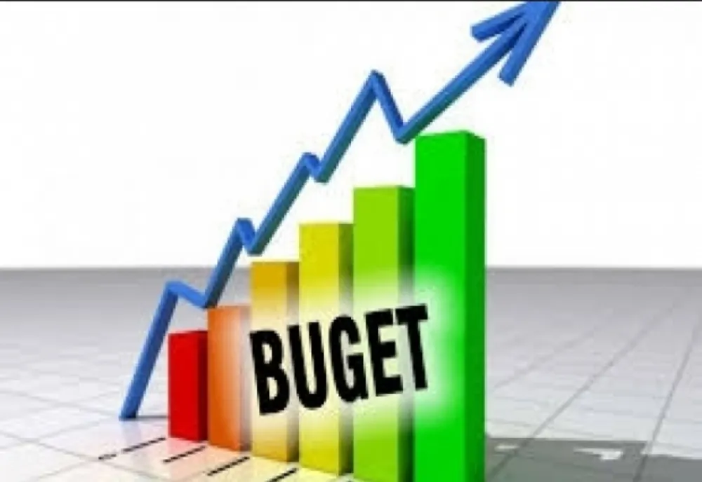 A fost publicat bugetul pentru 2024 - Cum se împart banii românilor