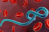 Epidemie de Ebola în Congo: 1.003 cazuri confirmate, 254 de decese și mii de persoane căutate de autorități