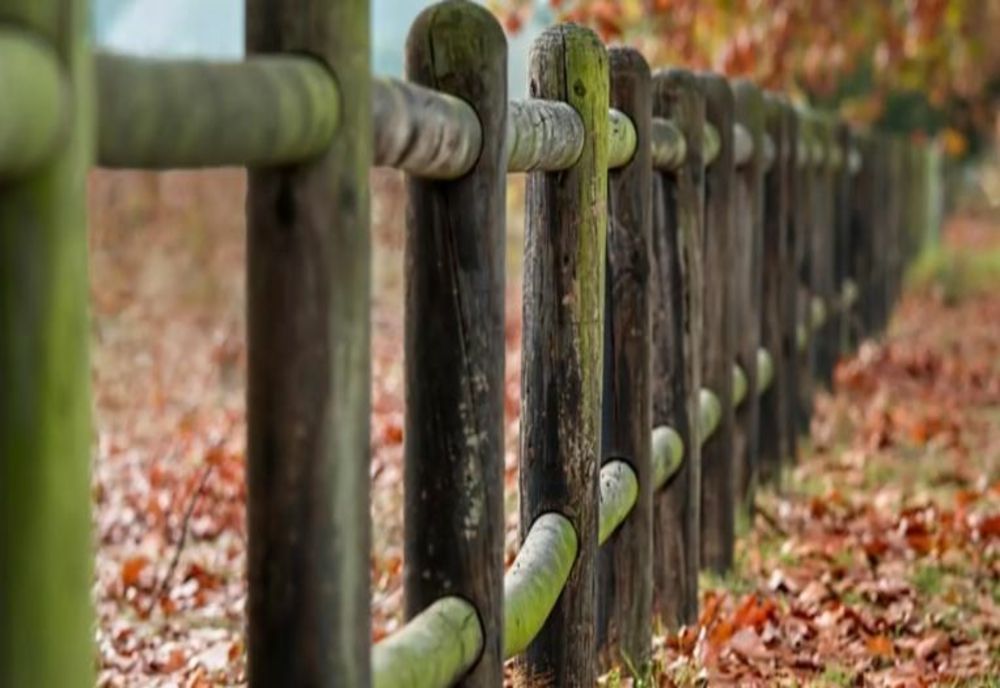 Amenzi URIAȘE pentru românii care stau la curte. Ce NU mai au voie să facă