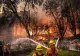 MEGAINCENDIU INCENDIU DE VEGETAȚIE ÎN CALIFORNIA 
