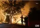 LOS ANGELES, ÎN STARE DE URGENȚĂ DIN CAUZA UNUI INCENDIU DEVASTATOR